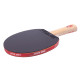 Ракетка DHS Gold Medal Ma Long 03 (carbon blade)