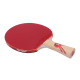 Ракетка DHS Gold Medal Ma Long 03 (carbon blade)