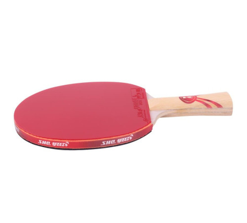 Ракетка DHS Gold Medal Ma Long 03 (carbon blade)