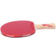 Ракетка DHS Gold Medal Ma Long 03 (carbon blade)