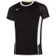 Футболка Mizuno Premium High-Kyu Tee V2EA7002-09
