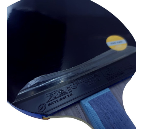 Ракетка DHS TG Blue TB2