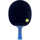Ракетка DHS TG Blue TB2