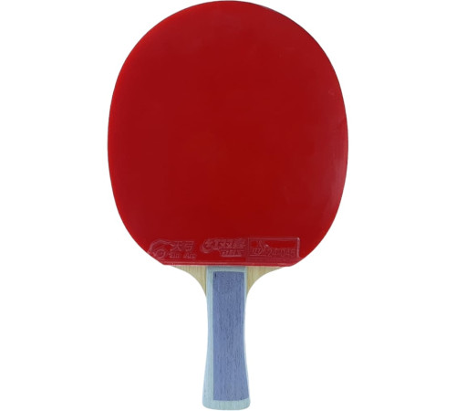 Ракетка DHS TG Blue TB2