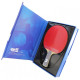 Ракетка DHS TG Blue TB2