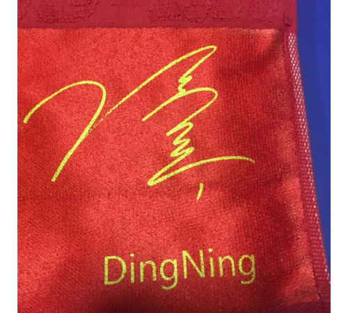 Рушник DHS AT-05 Ding Ning