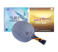 Сборная ракетка 729 GAEA FL (Phoenix + Battle II Soft)