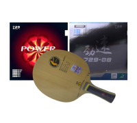 Збірна ракетка 729 V-3 FL (Bloom Power + New 729-08)