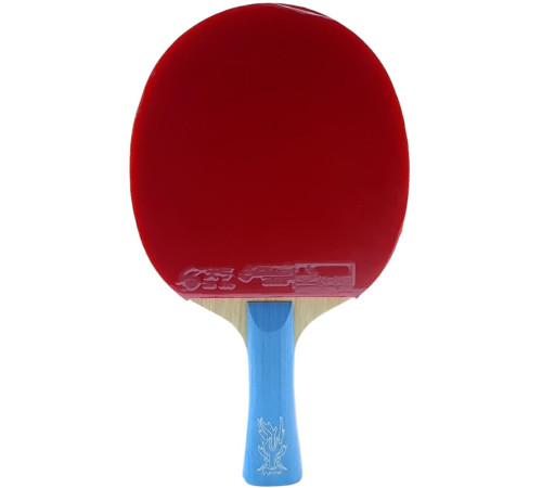 Ракетка DHS Hurricane Pro HP02