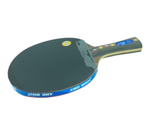 Ракетка DHS R5002C