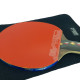 Ракетка DHS R5002C