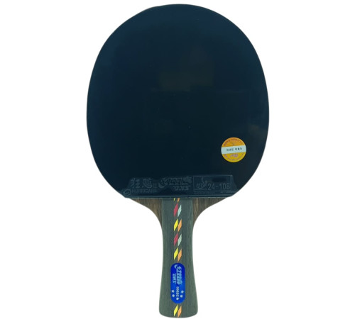 Ракетка DHS R5002C
