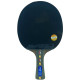 Ракетка DHS R5002C