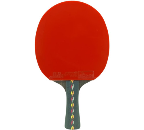 Ракетка DHS R5002C