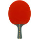 Ракетка DHS R5002C