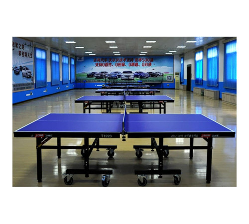 Тенісний стіл DHS T1223