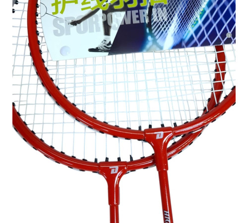 Набір ракеток для бадмінтона DHS Alu-Carbon 1010