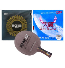 Збірна ракетка DHS PG12 FL (Focus III + Sky Wing)
