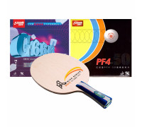 Сборная ракетка DHS W2010 FL (PF4-50 + 666)