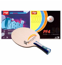 Збірна ракетка DHS W2010 FL (PF4-50 + 666)