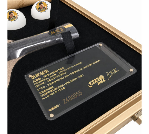 Набор DHS Wang Liqin CLASSIC
