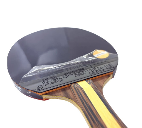 Ракетка DHS H9002