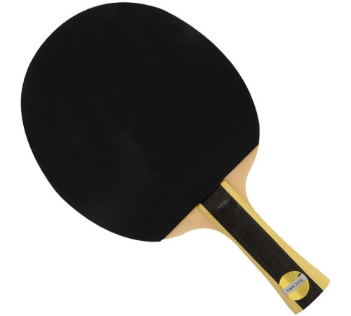 Ракетка DHS H1002