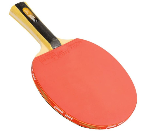 Ракетка DHS H1002