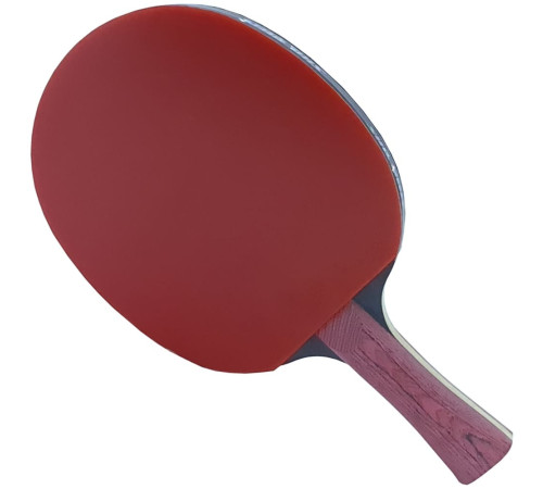 Ракетка DHS Star-Diamond Black-Crimson D01