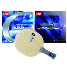 Збірна ракетка DHS WP6 FL (TG3-60 + 555)