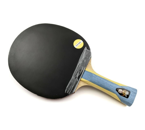 Ракетка DHS H6002