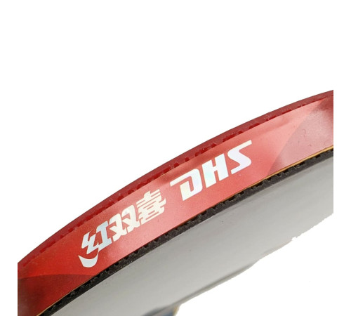 Ракетка DHS H6002