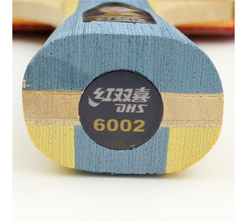 Ракетка DHS H6002