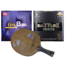 Збірна ракетка 729 Moonlight Dolphin FL (Battle II Golden + H 8-80)