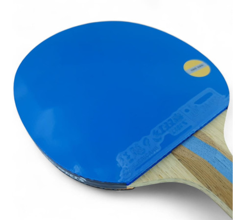 Ракетка DHS H7004 (blue)