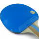 Ракетка DHS H7004 (blue)
