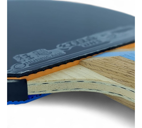 Ракетка DHS H7004 (blue)