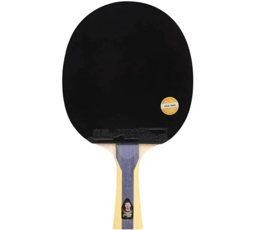 Ракетка DHS H5002