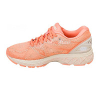 Кросівки Asics Gel Nimbus 20 SP T854N-0606