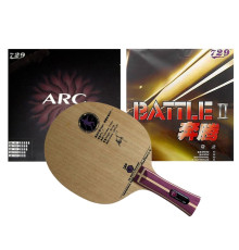 Збірна ракетка 729 L-5 FL (Bloom Arc +  Battle II)