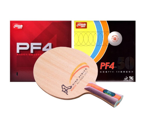 Збірна ракетка DHS W3010 FL (PF4 + PF4-50)