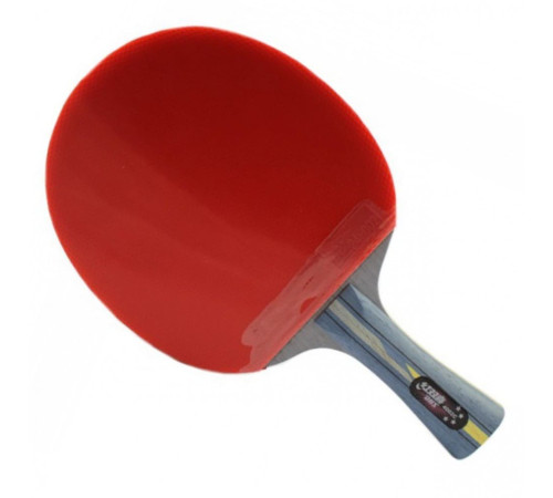 Ракетка DHS R4002C