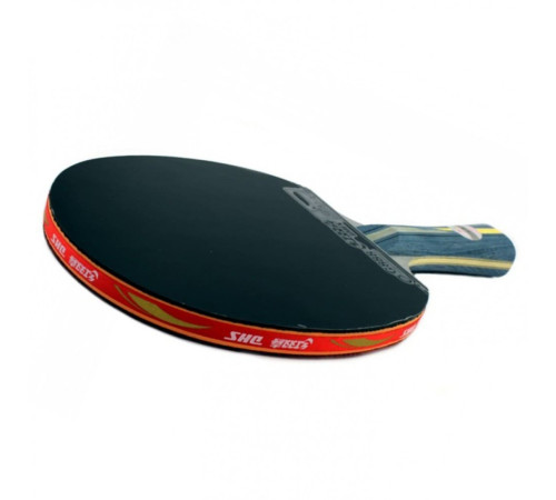 Ракетка DHS R4002C