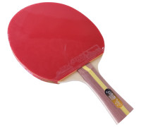 Ракетка DHS T2003