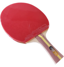 Ракетка DHS T2003