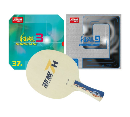 Сборная ракетка DHS PG7H FL (H9 Blue + NH3 37)