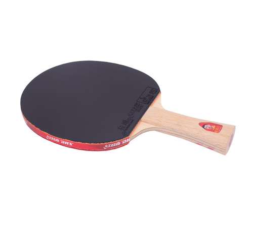 Ракетка DHS Gold Medal Ma Long 02 (carbon blade)