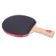 Ракетка DHS Gold Medal Ma Long 02 (carbon blade)