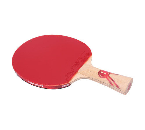 Ракетка DHS Gold Medal Ma Long 02 (carbon blade)