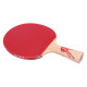 Ракетка DHS Gold Medal Ma Long 02 (carbon blade)